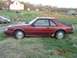 1984 Ford Mustang